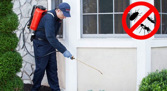 Gümüşhacıköy Bit İlaçlama böcek ilaçlama ve haşere kontrolü — ilaclama-tr.com